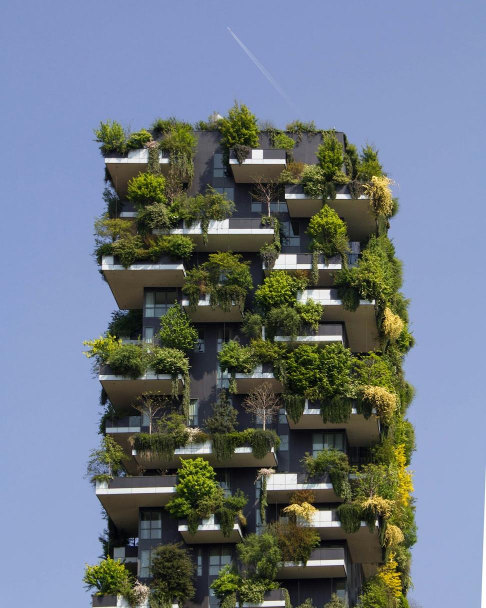 Richmond Net-Zero Home